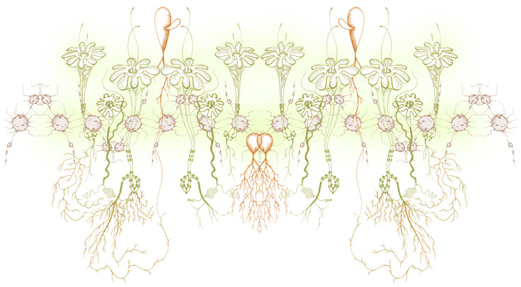 illustration of plant and root like shapes