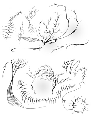 an arrary of contrasting organic looking shapes in contrast to eachother