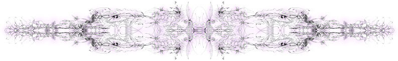 an illustration of something with bilateral symmetry