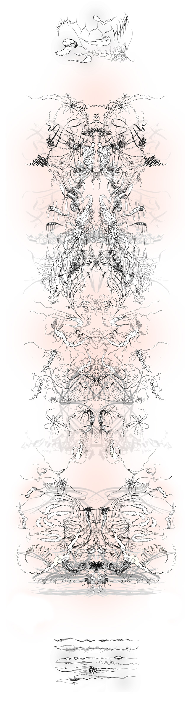 this set of lines will